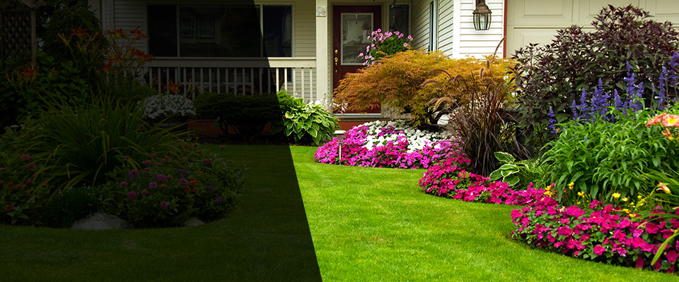Maricopa Landscapers