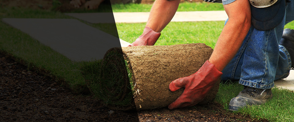 Maricopa Landscapers